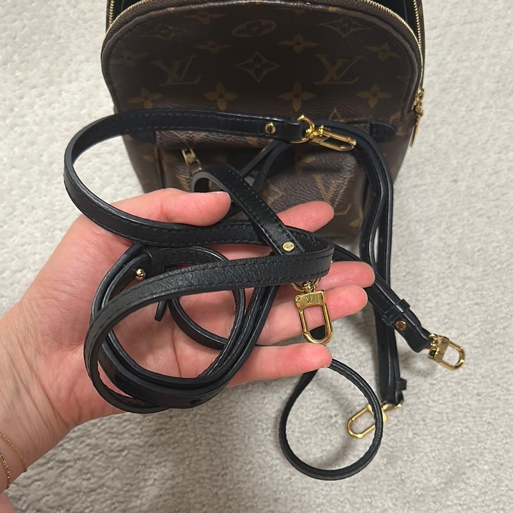 Louis Vuitton Monogram Palm Springs Mini Backpack - Picture 7 of 8